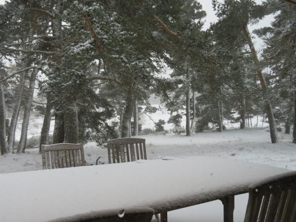 Kelethin sous la neige